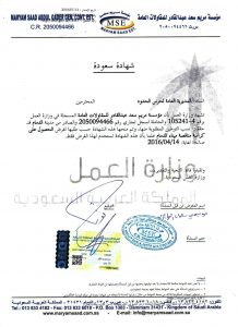 saudization-001